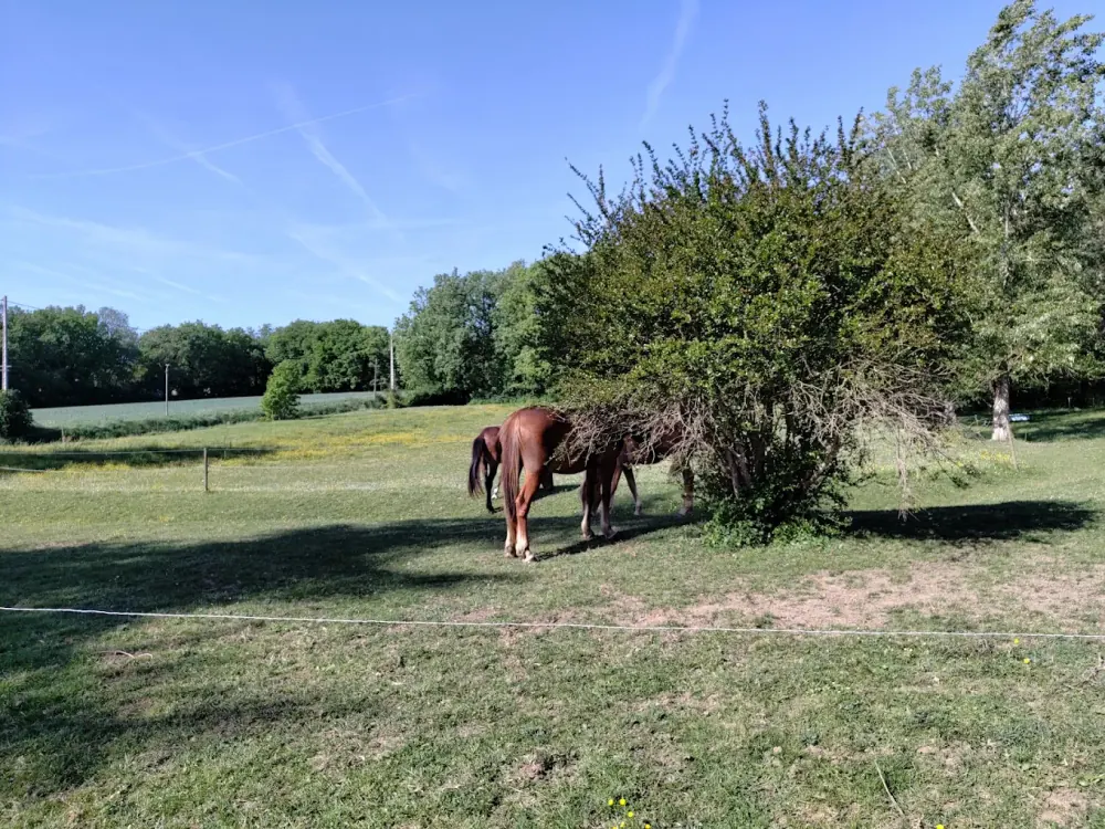 Recherche de fuite dans un jardin en Occitanie